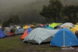 8 Kegiatan Positif untuk Anak Selama Libur Sekolah (1)