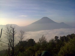 Dieng, Negeri di Atas Awan Seindah Dongeng