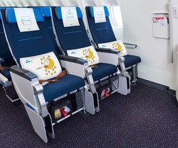 Gemas! Terbang Bareng Kelinci Lucu dengan KLM