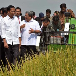 Ramalan BPS: Produksi Padi 75,55 Juta Ton, Naik 6,64%