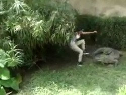 Turis Cewek Iseng Loncat ke Kandang Buaya di Meksiko