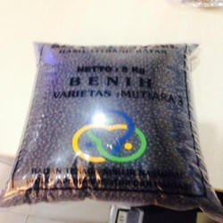 Batan Luncurkan Kedelai Hitam Hasil Teknologi Nuklir