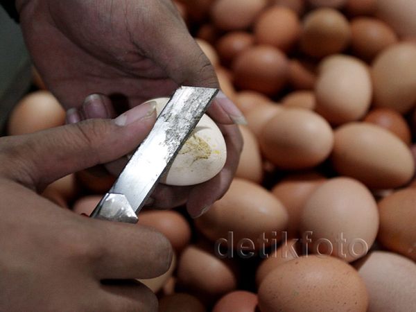 Jelang Lebaran Harga Telur Ayam Naik Turun