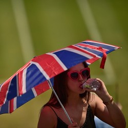 Wimbledon yang Menyengat