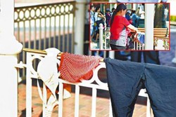 Turis Tiongkok Jemur Bra di Disneyland Hong Kong