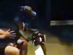 Ajari Anjingnya Naik Motor Bebek Keliling Kota, Pemuda Ini Didenda Rp 4 Juta