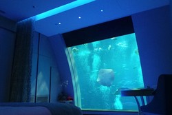 Mewahnya Tidur Ditemani Pari dan Hiu di Singapura