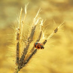 Hunting Foto Hewan & Tumbuhan Cantik Saat Traveling, Seru!