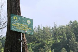 Ini Tempat Terbaik Melihat Puncak Merapi di Yogyakarta