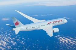 Turis Mabuk & Ludahi Pramugara, Pesawat Mendarat Darurat