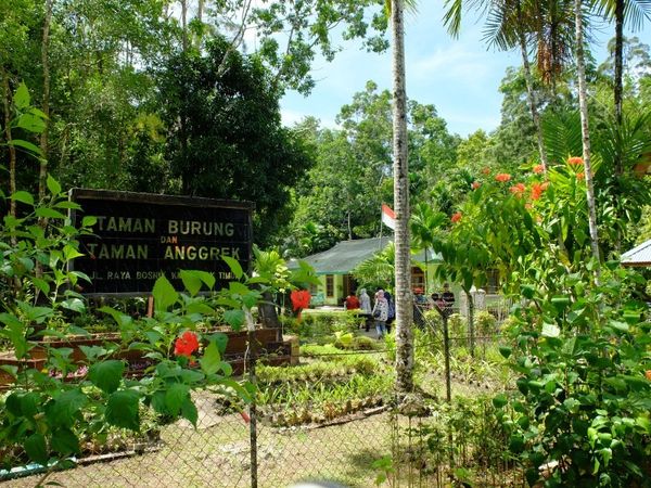 Anggrek & Burung Endemik Papua Ada di Taman Ini