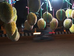 Pesta Durian di Kediri, Bisa Banget!
