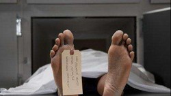 Wanita Ini Meninggal Akibat Terinfeksi Amoeba Pemakan Otak Saat Berenang