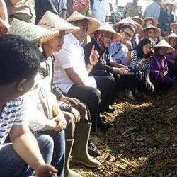 Blusukan ke Kebun Cabai, Gobel Kaget Preman Kendalikan Harga di Pasar