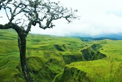 Berbagai Sisi Rinjani yang Menakjubkan