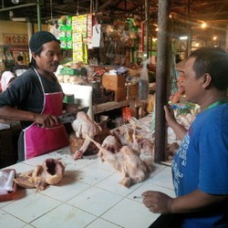 Tak Hanya Daging Sapi, Harga Ayam Jelang Lebaran Juga Naik