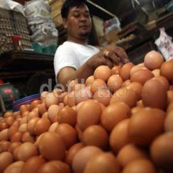 Jelang Lebaran, Harga Telur Turun Rp 4.000/Kg