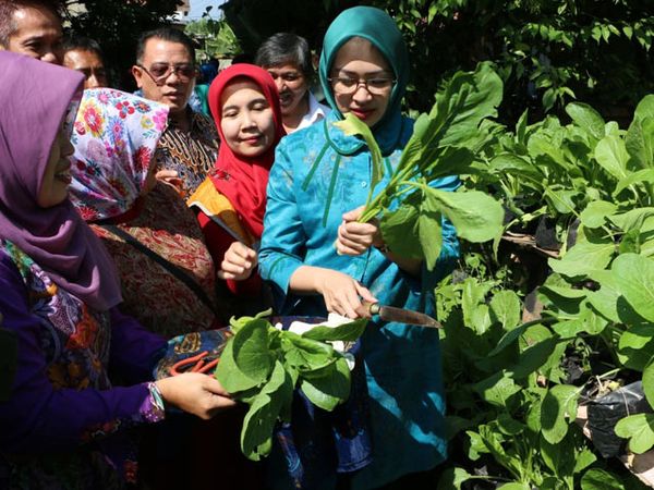 Airin Panen Raya