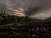 Penampakan Gunung Raung Meraung