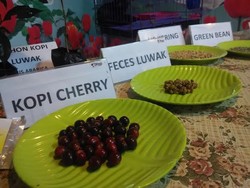 Ini Modal Mulai Bisnis Sulap Kopi Rp 8.000 Jadi Rp 3 Juta/Kg