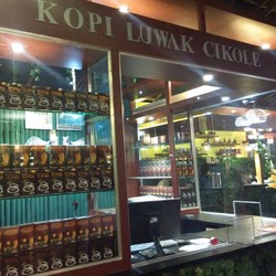 Produsen Kopi Luwak Kini Harus Jamin Luwaknya Sejahtera