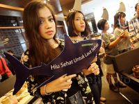 Aksi Greenpeace Cegah Kepunahan Hiu