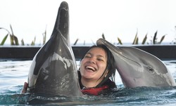 Diprotes, Ini Kata Pengelola Kolam Lumba-lumba Wake Bali Dolphin