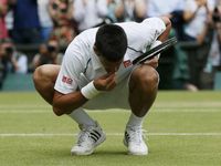 Djokovic Kunyah Rumput Wimbledon