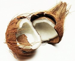 Tepung Kelapa dan Yogurt Kelapa, Produk Olahan Kelapa yang Kaya Nutrisi