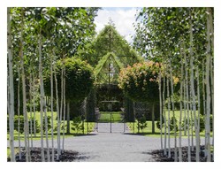 Gereja Keren di Selandia Baru, Terbuat dari Pohon!