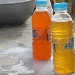 Bukan Soft Drink, Ini Kencing Unta Arab Saudi