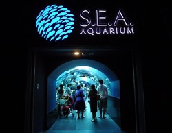 Super Keren, 10 Akuarium Terbaik di Asia