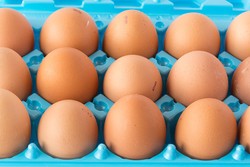 McDonalds Selandia Baru Akan Pakai Telur Free-Range untuk Semua Menu