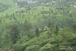 Libur Lebaran Hari Kedua: Kawasan Puncak Dipadati Wisatawan