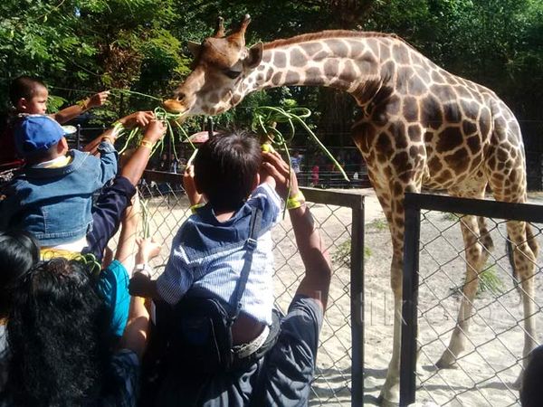 Pengunjung KBS Dihibur Moridtz Si Leher Panjang