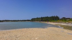 Pantai Pasir Putih yang Cantik di Tuban