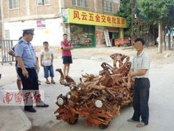 Geber Mobil Kayu Buatan Sendiri di Jalanan Umum, Pria Ini Didenda Rp 4 Juta