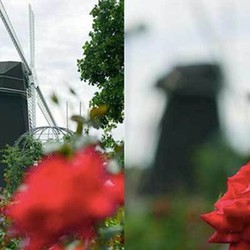 Mengulik Teknologi Post Focus Panasonic