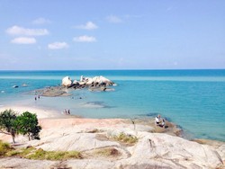 Mudik ke Bangka, Sudah ke Pantai Tikus?