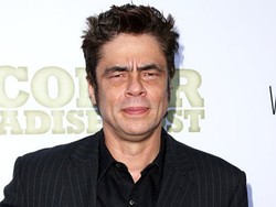 Benicio del Toro Didekati untuk Peran Jahat di Star Wars: Episode VIII