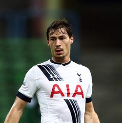 PSG Gaet Stambouli dari Spurs