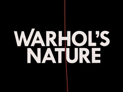 Yuk, Selfie di Museum Andy Warhol
