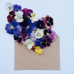 Bunga di Amplop Jadi Sensasi Instagram