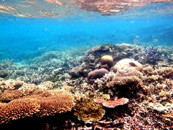 Foto Traveling Editan VS No Filter, Percaya yang Mana?