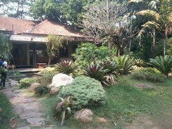 Sudah Tahu, Ada Kura-kura & Ikan Raksasa di Depok!