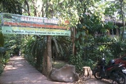 Back to Nature di Kampung 99 Pepohonan Depok