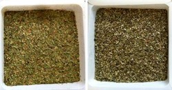 25% Oregano Kering yang Dijual di Inggris Dicampur dengan Tanaman Lain