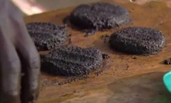 Mau Cicip? Daging Burger Ini Dibuat dari 500 Ribu Lalat!