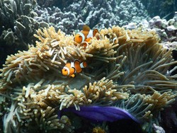 Inilah Pantai Tercantik di Ujung Barat Indonesia