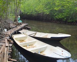 Bukan di Kalimantan, Ini di Bali